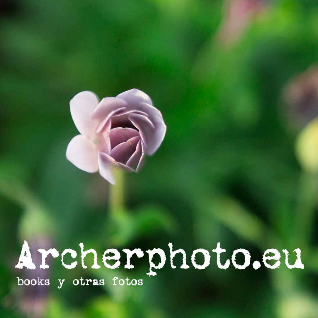 Interludio con flores (3), Archerphoto, fotografía en València.