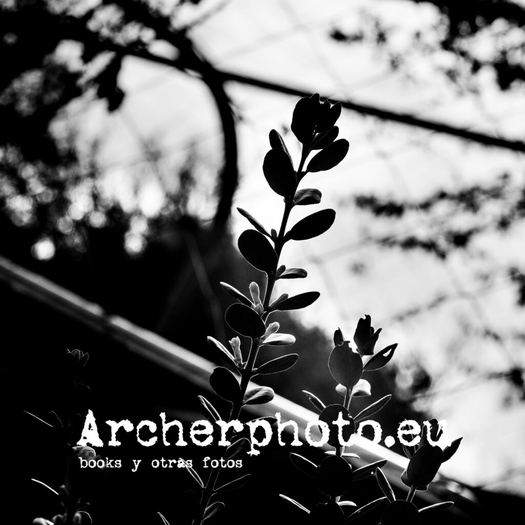 Interludio en blanco y negro 2024 (1), fotografía en el Parc Central de València, España por Sergi Albir, Archerphoto, fotógrafo empresas.